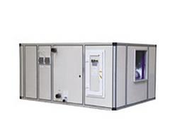 麥克維爾潔凈空調價格解析及四川綠之楓優質產品供應